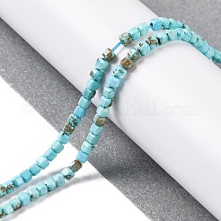 Природные Говлит бисер нитей&nbsp;G-G001-A02-03