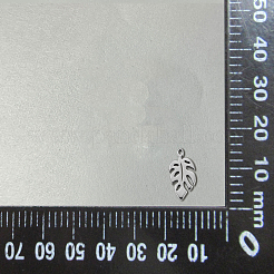 Подвески из нержавеющей стали 304&nbsp;LS-STAS-CJC0008-15P