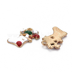 Pendentifs d'émail en alliage&nbsp;ENAM-S126-058-NR