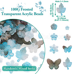 100g transparente Acrylperlen&nbsp;FACR-TA0001-06A