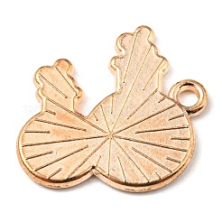 Pendentifs d'émail en alliage&nbsp;ENAM-G218-C05