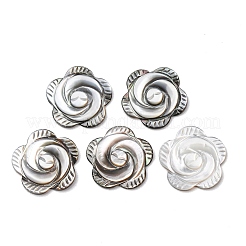 Rose schwarz Lippe Shell Cabochons&nbsp;SSHEL-E553-09