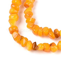 Нити бусин из натуральных пресноводных ракушек&nbsp;SHEL-N037-04G