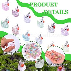 60шт 12 цвета прозрачные подвески из смолы&nbsp;RESI-SZ0003-37