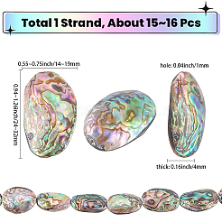 1 Strang natürliche Abalone-Muschel/Paua-Muschelperlenstränge&nbsp;SSHEL-SC0001-64