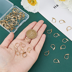 60 pieza de accesorios para pendientes de palanca de acero inoxidable 304&nbsp;STAS-DC0015-92