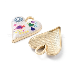 Стойки обшивки сплава эмали подвески&nbsp;FIND-C050-09G