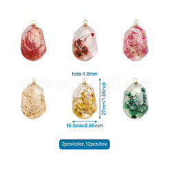 12шт 6 цвета подвески из смолы&nbsp;RESI-CD0001-08