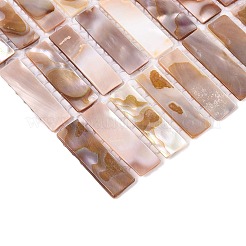 Piastrelle a mosaico in conchiglie naturali d'acqua dolce&nbsp;SHEL-Q029-01