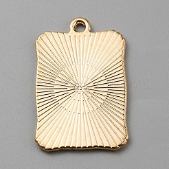 Подвески из эмали и сплава&nbsp;ENAM-WH0064-24F