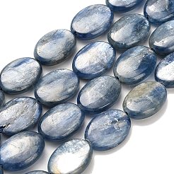 Натуральный кианитовые бисер пряди&nbsp;G-H335-D01-10x14mm