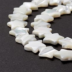 Бусины из натуральных трохоидных/трохус ракушек&nbsp;SSHEL-O001-25D-01