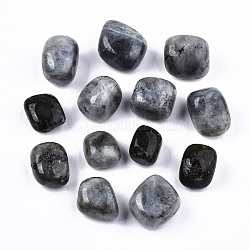 Natural Labradorite Beads, Healing Stones, for Energy Balancing Meditation Therapy, Tumbled Stone, Vase Filler Gems, No Hole/Undrilled, Nuggets, 19~30x18~28x10~24mm  250~300g/bag
