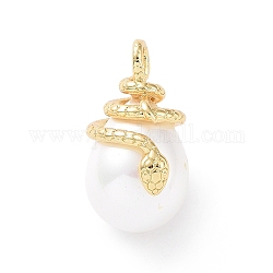 Shell pendenti di perle, con accessori di ottone,  cadmio& piombo libero, placcato di lunga durata, a goccia con ciondolo serpente, vero placcato oro 18k, 25x14x16mm, Foro: 4x3 mm