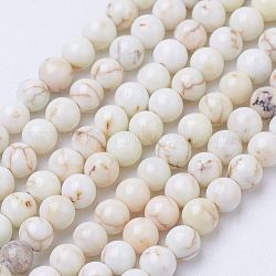Brins de perles de magnésite naturelle, teinte, ronde, vieille dentelle, 3mm, Trou: 0.6mm, Environ 118 pcs/chapelet, 15.7 pouce