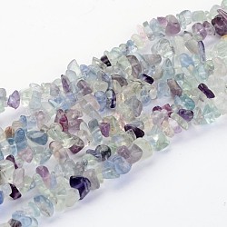 Fili di perline gemstone, fluorite naturale, pezzo, colore misto, circa 5~8 mm di lunghezza, foro : about 0.3mm, 32 pollice