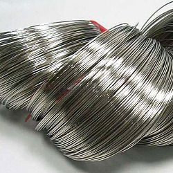 Stahldraht-Speicher, für die Herstellung von Wickelarmbändern, Nickelfrei, Platin Farbe, 22 Gauge, 0.6 mm, 2500 Kreise / 1000 g