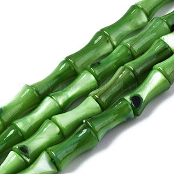 Naturali di acqua dolce perline shell fili, tinto, bastone di bambù, verde oliva, 8x4.5x4.5mm, Foro: 0.7 mm, circa 45~48pcs/filo, 14.61~15.51 pollice (37.1~39.4 cm)