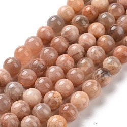 Rondes sunstone naturelle perles brins, 10mm, Trou: 1mm, Environ 38 pcs/chapelet, 15.4 pouce