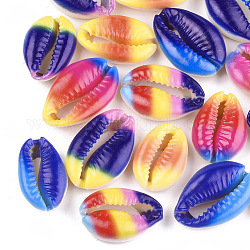 Perlas de concha de cowrie impresas, sin agujero / sin perforar, color mezclado, 20~25x13~17x7~8mm