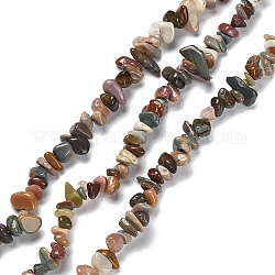 Brins de perles d'agate alashan naturelles, puce, 5~15x5.5~6x2.5~4mm, Trou: 0.7mm, 30.31''~30.71'' (77~78 cm)