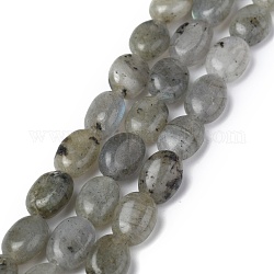 Brins de perles de labradorite grise naturelle, ovale, 8x6x3.5~4mm, Trou: 1mm, Environ 45~52 pcs/chapelet, 15.16~15.74 pouce (38.5~40 cm)