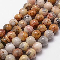 Fili di perline agata pazzesco naturale, tondo, 6mm, Foro: 1 mm, circa 62pcs/filo, 15 pollice