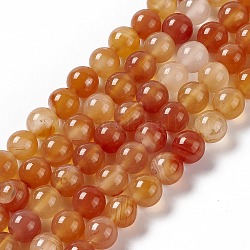 Natural Red Agate Beads Strands, Grade AB, Round, 8mm, Hole: 1.2mm, about 49pcs/strand, 14.96 inch(38cm)