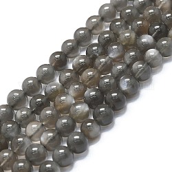 Fili di perline di pietra di luna grigia naturale, tondo, 6~7mm, Foro: 0.6 mm, circa 62~64pcs/filo, 14.96''~15.35'' (38~39 cm)