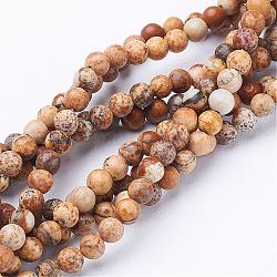 Perles en pierres gemme, image naturelle jaspe, ronde, environ 4 mm de diamètre, trou: environ 0.8 mm, 15~16 pouce