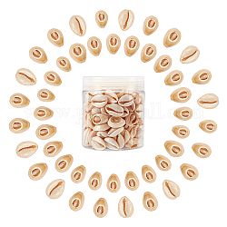 Sunnyclue perles de coquillage cauris mélangés naturels, cauris, papayawhip, 18~20x13~14x6~8mm, environ 200,g/boîte