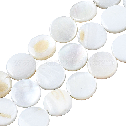 SUNNYCLUE 1 Box About 105Pcs Flat Round Shell Bead Natural Freshwater White Disc Coin Beads Ocean Beach Hawaii Style Elastic Thread for Jewelry Making DIY Bracelets Crafts Supplies Findings DIY-SC0017-06-1