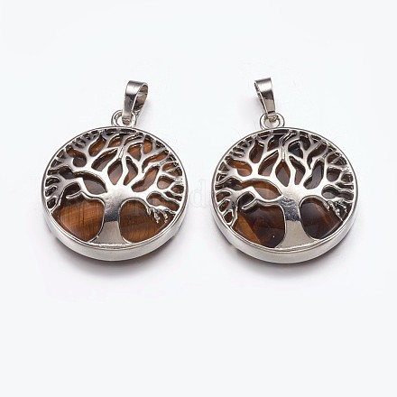 Pendentifs en œil de tigre naturel G-E449-C05-1