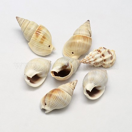 Conch Shell Pendants BSHE-O007-67-1