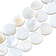 SUNNYCLUE 1 Box About 105Pcs Flat Round Shell Bead Natural Freshwater White Disc Coin Beads Ocean Beach Hawaii Style Elastic Thread for Jewelry Making DIY Bracelets Crafts Supplies Findings DIY-SC0017-06-1