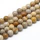 Natural Fossil Coral Beads Strands G-R446-10mm-28-1