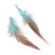 Chicken feather Costume Accessories FIND-Q061-01-2