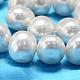 Oval Shell Pearl Bead Strands BSHE-L013-M-A013-4
