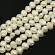 Natural Cultured Freshwater Pearl Beads Strands PEAR-N002-07-3