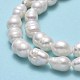 Natural Cultured Freshwater Pearl Beads Strands PEAR-J006-19A-4