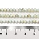 Chapelets de perles en opale vert naturel G-Z035-A02-02A-5