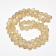 Frosted Electroplate Glass Shell Beads Strands EGLA-M002-A02-2