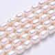 Grade B Natural Cultured Freshwater Pearl Beads Strands SPRB007Y-51-2