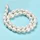 Natural Cultured Freshwater Pearl Beads Strands PEAR-E016-062-3