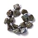 Natural Labradorite Beads Strands G-B024-12-2