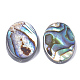 Perle di conchiglia abalone naturale / conchiglia paua X-SSHEL-T008-14-2