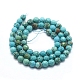 Natural Howlite Beads Strands X-G-D0012-01B-2
