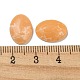 染色された合成ハウライト カボション  オーバル  橙色  14x10~10.5x3.5~4mm G-G075-11B-3