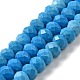 Dyed Natural Howlite Beads Strands G-G023-A01-01B-1