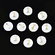 Perles de coquillages naturels d'eau douce SHEL-N003-20-01-1